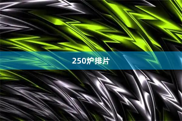 250炉排片